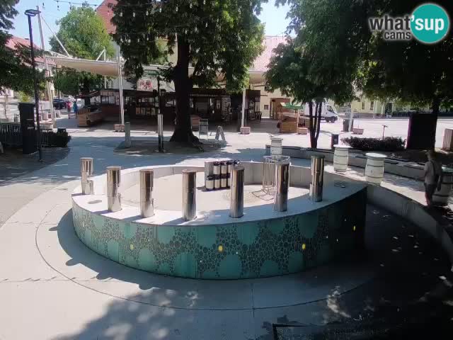 Bier-Springbrunnen Webcam Žalec – Grünen Goldes