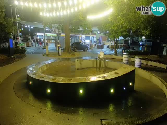 Fontaine à bière LIVE webcam – Or vert – Žalec