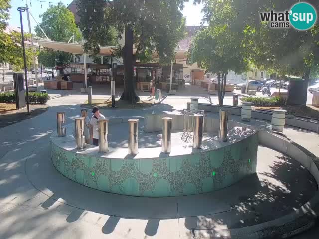 Camera en vivo Fuente de cerveza – Oro verde – Žalec
