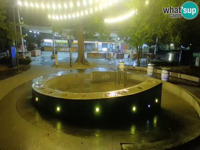 Fontaine à bière LIVE webcam – Or vert – Žalec