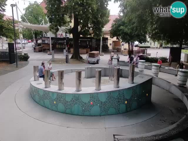 Fontana di birra Webcam – Oro verde – Žalec