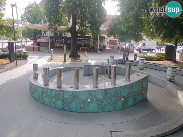 Bier-Springbrunnen Webcam Žalec – Grünen Goldes