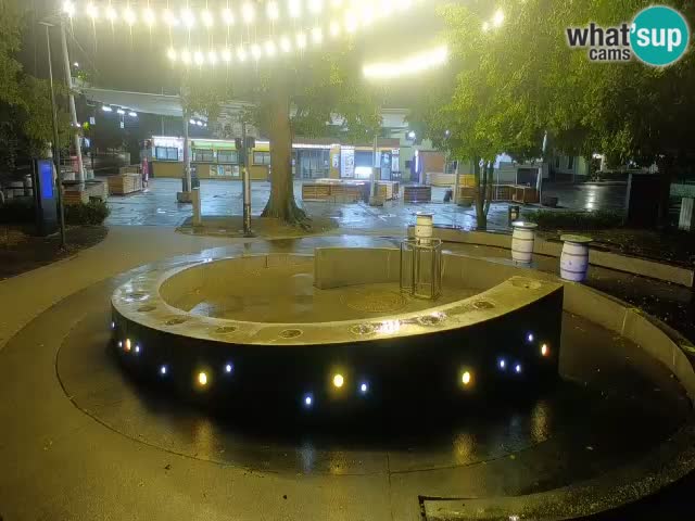 Fontana di birra Webcam – Oro verde – Žalec