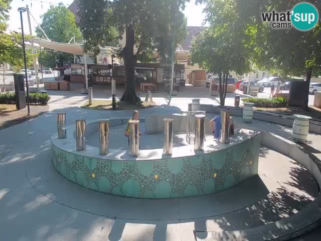 Camera en vivo Fuente de cerveza – Oro verde – Žalec