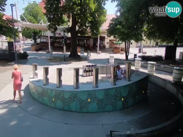 Fontaine à bière LIVE webcam – Or vert – Žalec