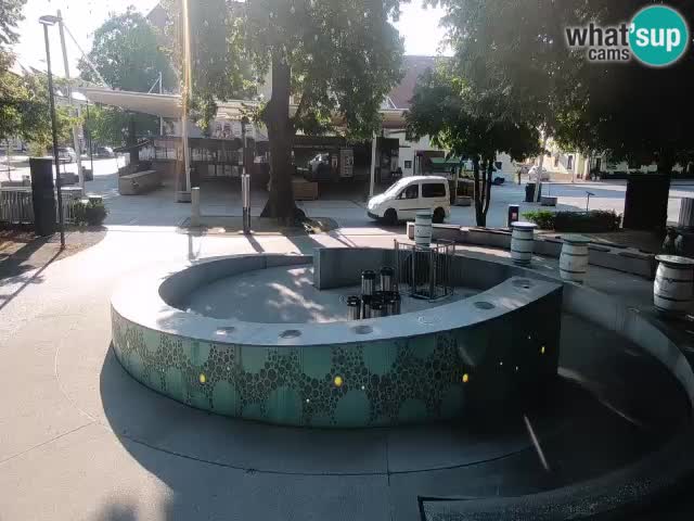 Fontaine à bière LIVE webcam – Or vert – Žalec