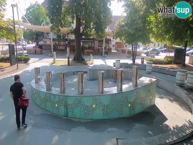 Web kamera Fontana piva – Zeleno zlato – Žalec