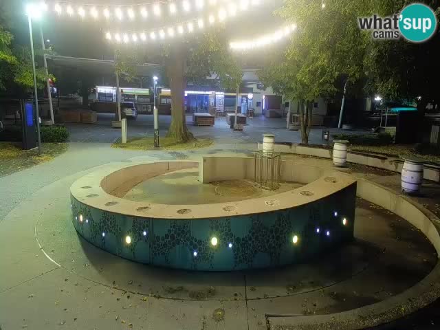 Camera en vivo Fuente de cerveza – Oro verde – Žalec