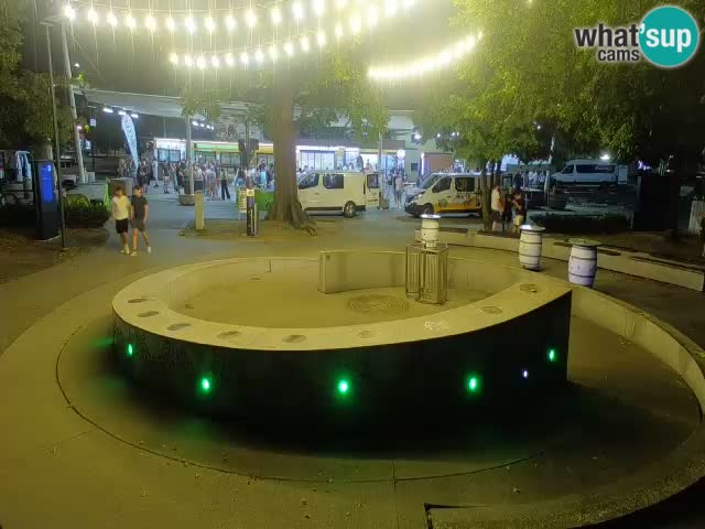 Camera en vivo Fuente de cerveza – Oro verde – Žalec