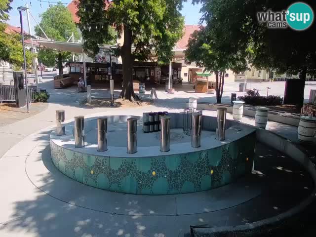 Web kamera Fontana piva – Zeleno zlato – Žalec