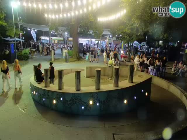Camera en vivo Fuente de cerveza – Oro verde – Žalec