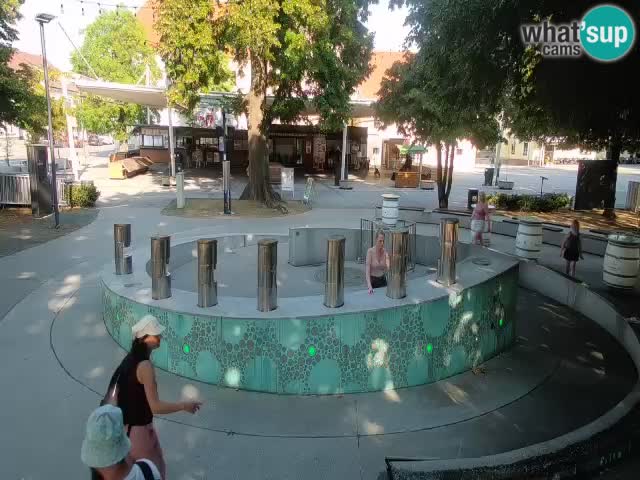 Fontaine à bière LIVE webcam – Or vert – Žalec