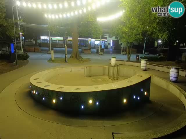 Bier-Springbrunnen Webcam Žalec – Grünen Goldes