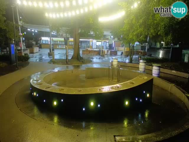 Fontaine à bière LIVE webcam – Or vert – Žalec