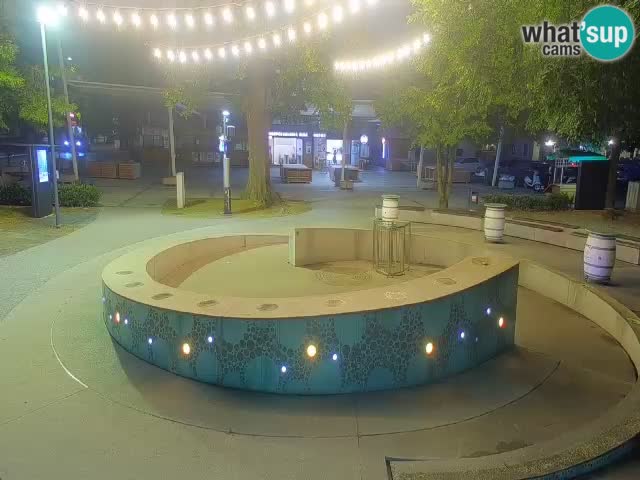 Camera en vivo Fuente de cerveza – Oro verde – Žalec