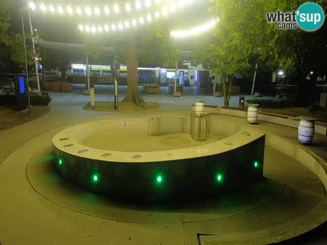 Camera en vivo Fuente de cerveza – Oro verde – Žalec
