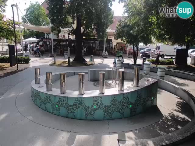 Bier-Springbrunnen Webcam Žalec – Grünen Goldes