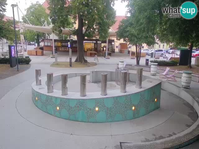 Web kamera Fontana piva – Zeleno zlato – Žalec