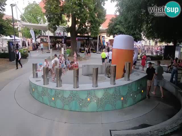 Fontana di birra Webcam – Oro verde – Žalec
