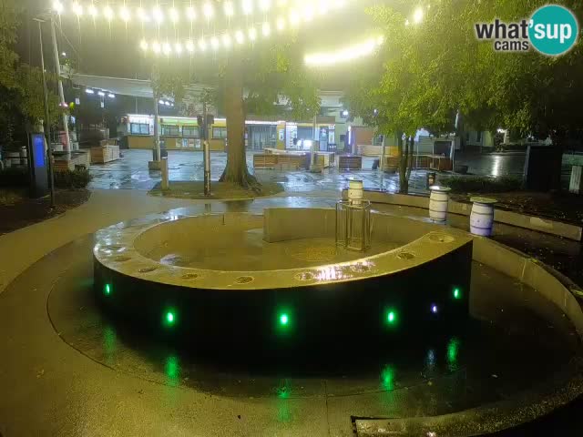 Web kamera Fontana piva – Zeleno zlato – Žalec