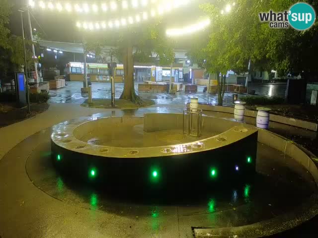 Fontana di birra Webcam – Oro verde – Žalec