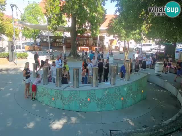 Web kamera Fontana piva – Zeleno zlato – Žalec