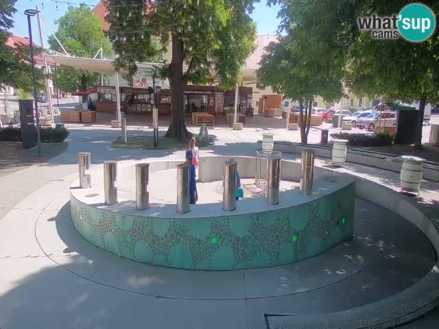Web kamera Fontana piva – Zeleno zlato – Žalec