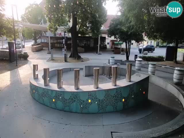 Bier-Springbrunnen Webcam Žalec – Grünen Goldes
