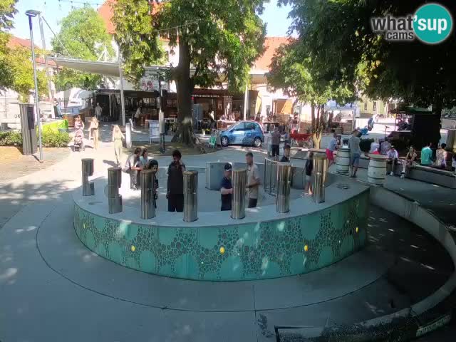 Spletna kamera Fontana Piv – Zeleno zlato Žalec