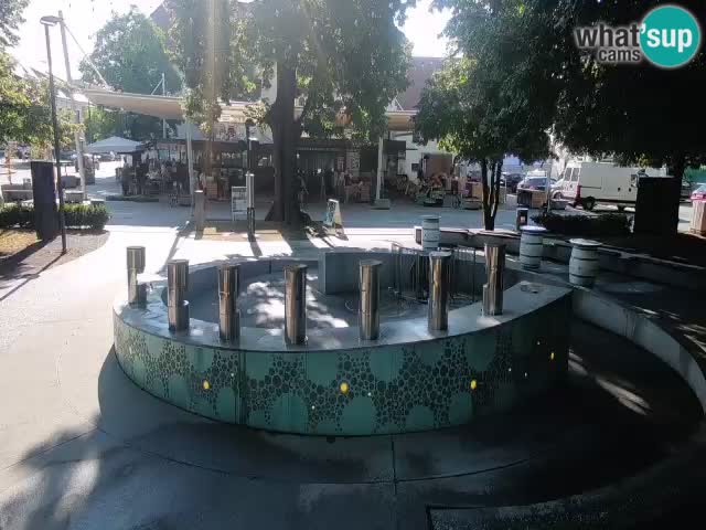 Spletna kamera Fontana Piv – Zeleno zlato Žalec