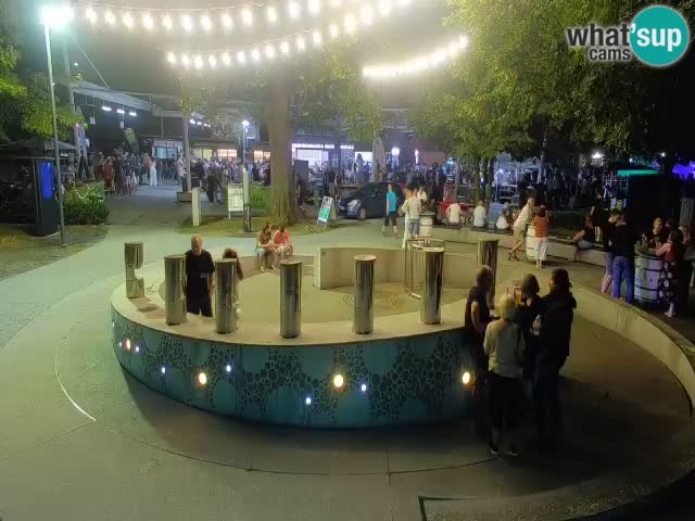 Fontaine à bière LIVE webcam – Or vert – Žalec