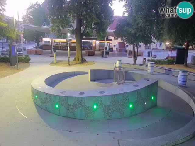 Bier-Springbrunnen Webcam Žalec – Grünen Goldes
