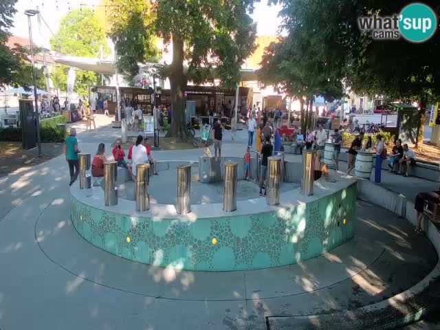 Fontaine à bière LIVE webcam – Or vert – Žalec