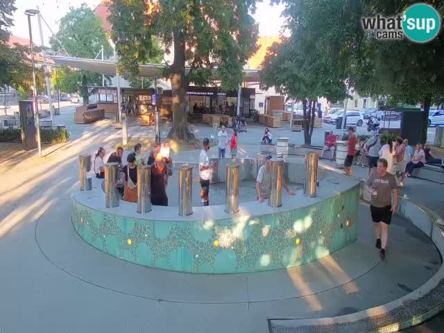 Bier-Springbrunnen Webcam Žalec – Grünen Goldes
