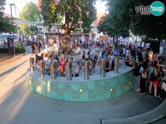 Fontaine à bière LIVE webcam – Or vert – Žalec
