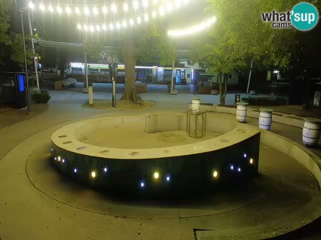 Fontaine à bière LIVE webcam – Or vert – Žalec