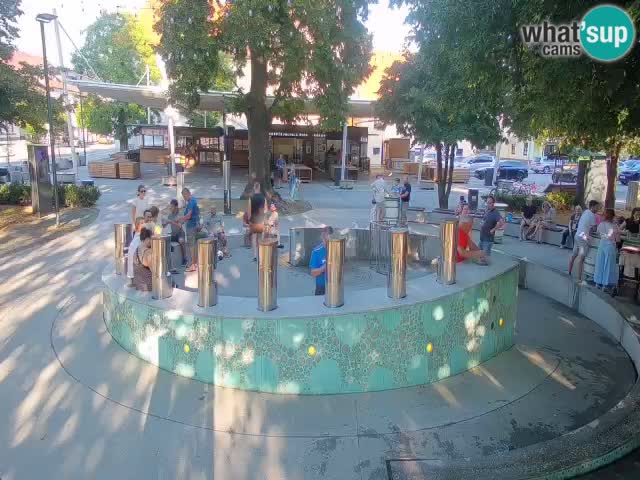 Bier-Springbrunnen Webcam Žalec – Grünen Goldes
