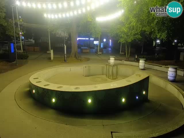 Bier-Springbrunnen Webcam Žalec – Grünen Goldes