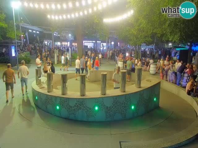 Bier-Springbrunnen Webcam Žalec – Grünen Goldes
