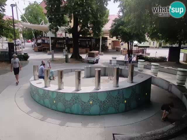 Spletna kamera Fontana Piv – Zeleno zlato Žalec