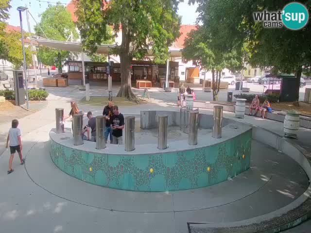 Bier-Springbrunnen Webcam Žalec – Grünen Goldes