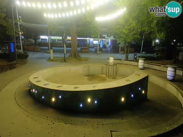 Fontana di birra Webcam – Oro verde – Žalec