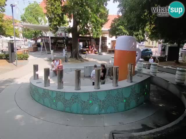 Bier-Springbrunnen Webcam Žalec – Grünen Goldes