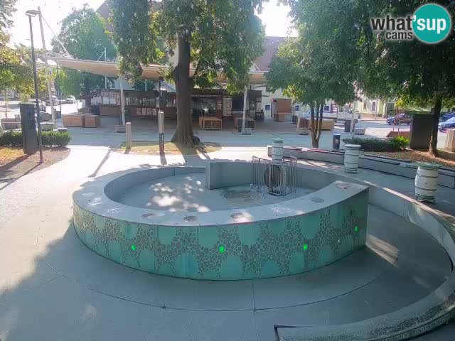 Web kamera Fontana piva – Zeleno zlato – Žalec