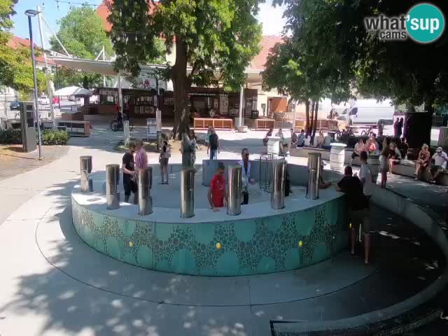 Fontaine à bière LIVE webcam – Or vert – Žalec