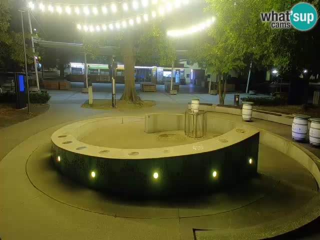 Camera en vivo Fuente de cerveza – Oro verde – Žalec