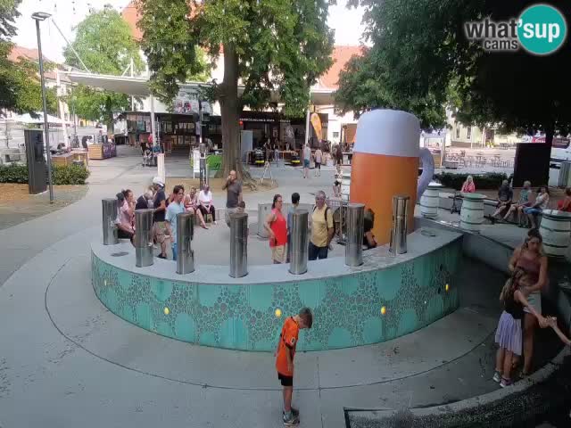 Bier-Springbrunnen Webcam Žalec – Grünen Goldes