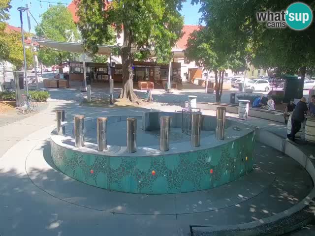 Web kamera Fontana piva – Zeleno zlato – Žalec