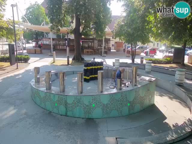 Web kamera Fontana piva – Zeleno zlato – Žalec