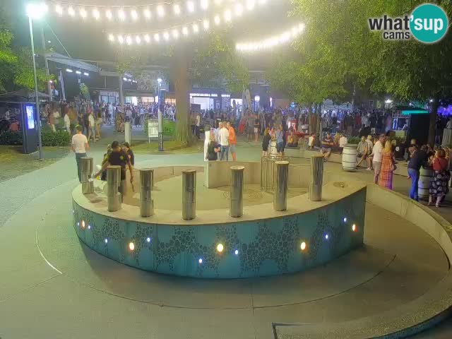 Bier-Springbrunnen Webcam Žalec – Grünen Goldes